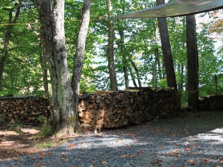 'I stacked the wood into neat 4' piles.'