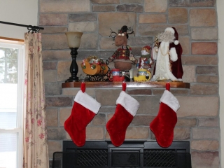 The fireplace