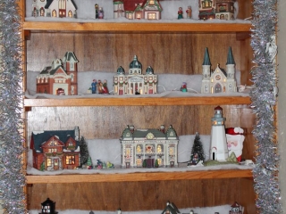 The bookshelf